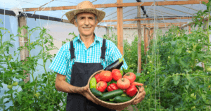 lengvatines paskolos ukininkams